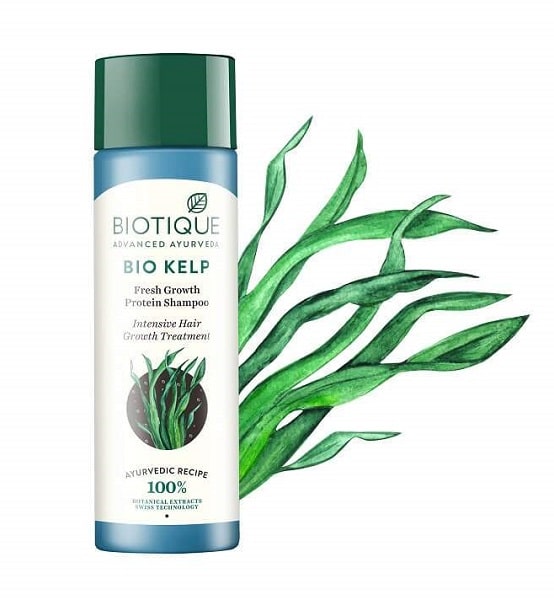 Шампунь против выпадения волос Морские водоросли (Kelp Protein Shampoo) Biotique, 120 мл