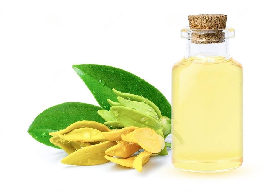 Эфирное масло иланг-иланга: полезные свойства и применение