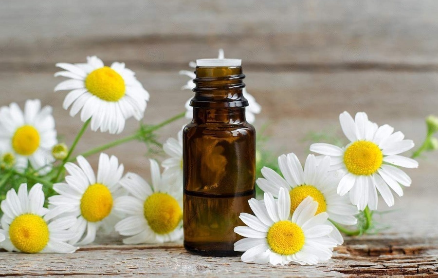 small-glass-bottle-essential-roman-chamomile-oil-old-wooden-background-chamomile-flowers-close-up-aromatherapy-spa-123978414-transformed.jpeg