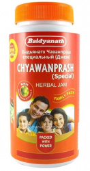 Чаванпраш Особый (Chyawanprash Special) Baidyanath, 500 г